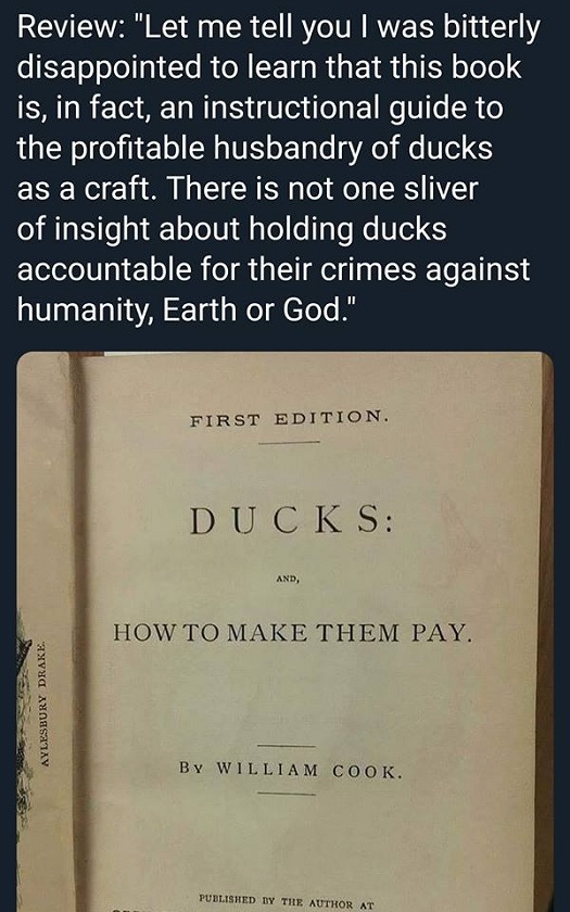 ducks - make them pay.jpg